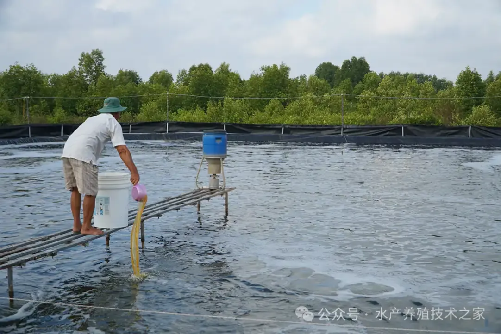 從精選到投喂，實現成本直降 20%